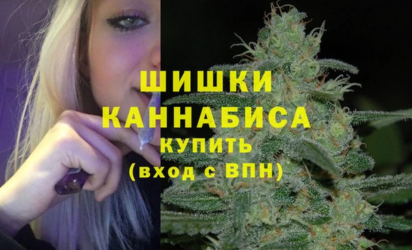 spice Липки