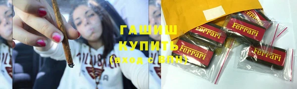 индика Долгопрудный