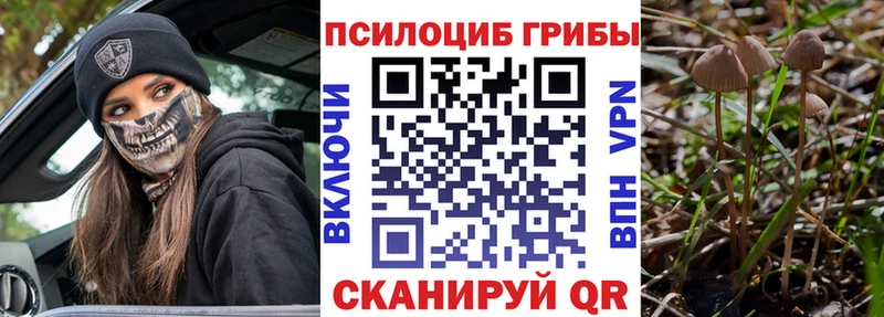 Псилоцибиновые грибы мицелий  Суровикино 